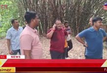 जगदल के बासबागान से तीन देसी बम बरामद।